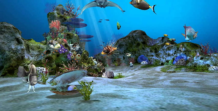 Aquarium ALLQ5 (), Fish Tank HD wallpaper