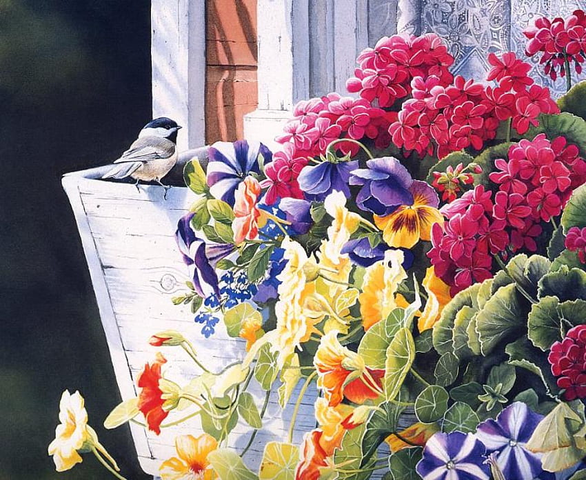 wewangian, jendela, rumah, burung penyanyi, warna, bunga, mekar Wallpaper HD