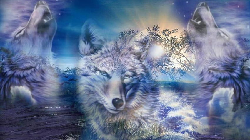 of Wolves background, Mystical Fox HD wallpaper
