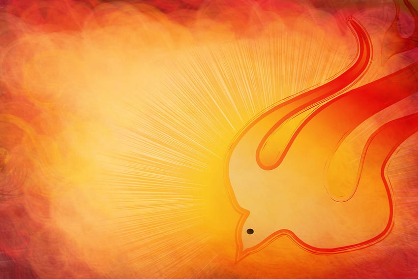 Holy Spirit, Pentecost or Confirmation symbol with a dove, and bursting rays of flames or fire. Abstract modern religious digital illustration background - Westmount Presbyterian Church HD wallpaper