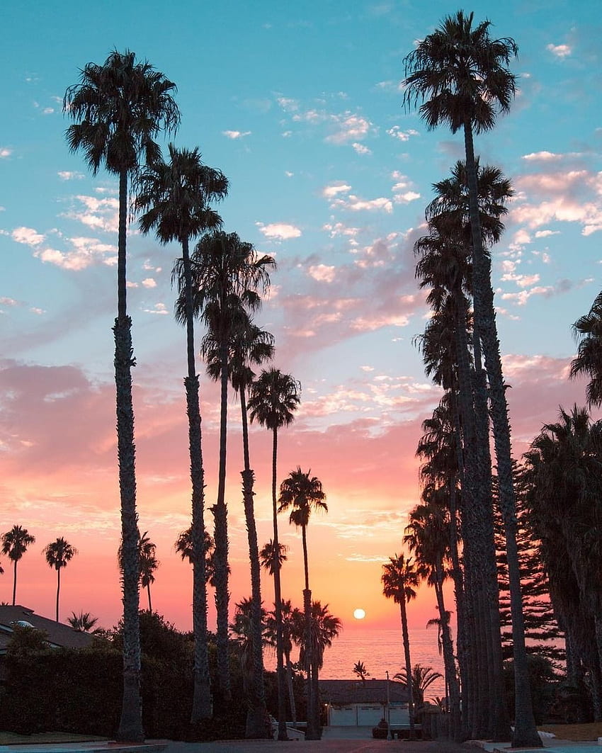 La Jolla Beach San Diego w Kalifornii przez debodoes by [] na Twój telefon komórkowy i tablet. Poznaj La Beach. La Beach, L Lawliet Tapeta na telefon HD