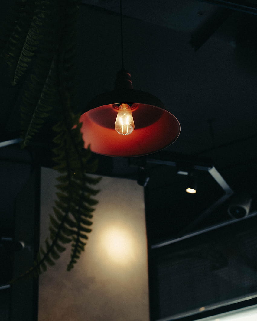 Lamp, Glow, Room, Indoor Plant, Houseplant HD phone wallpaper