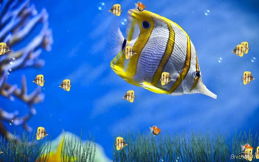 Với những hình nền động cá heo sống động, bạn có thể thỏa mãn đam mê với cuộc sống dưới nước. Hãy xem ngay để khám phá những khoảnh khắc đặc biệt của cá heo và mang đến một không gian sống động cho màn hình máy tính của bạn. 