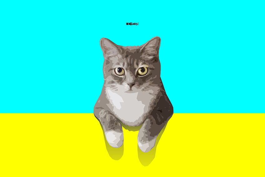 Minimalist, Cat, Artwork, Simple, Digital Art, Pet, Cyan, Yellow, Animal HD wallpaper