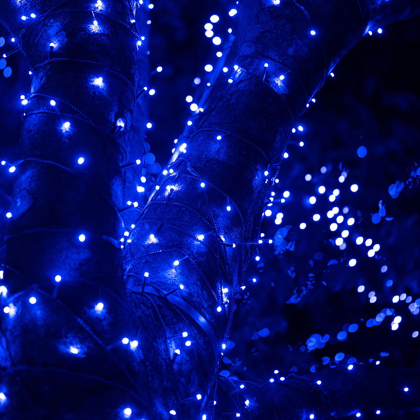 garland, glare, bokeh, blue, shine ipad pro 12.9 retina for parallax background, Light Shine HD phone wallpaper