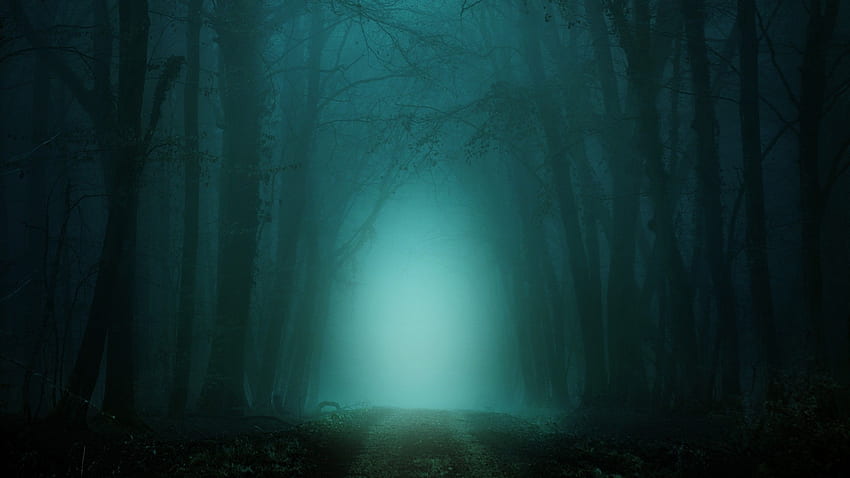 暗い森、霧、怖い、道、木 for iMac 27 インチ、2560 X 1440 暗い森 高画質の壁紙