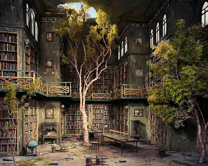 Library, Huge Library HD wallpaper