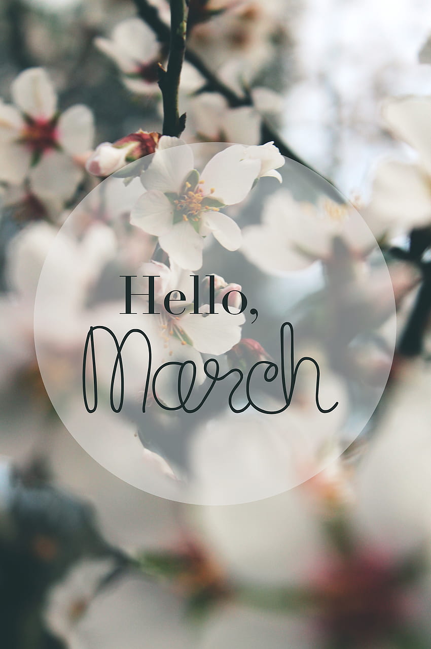 Hallo, März - Morgane LB. Bonjour mars, Collages de papier, Fond d ...