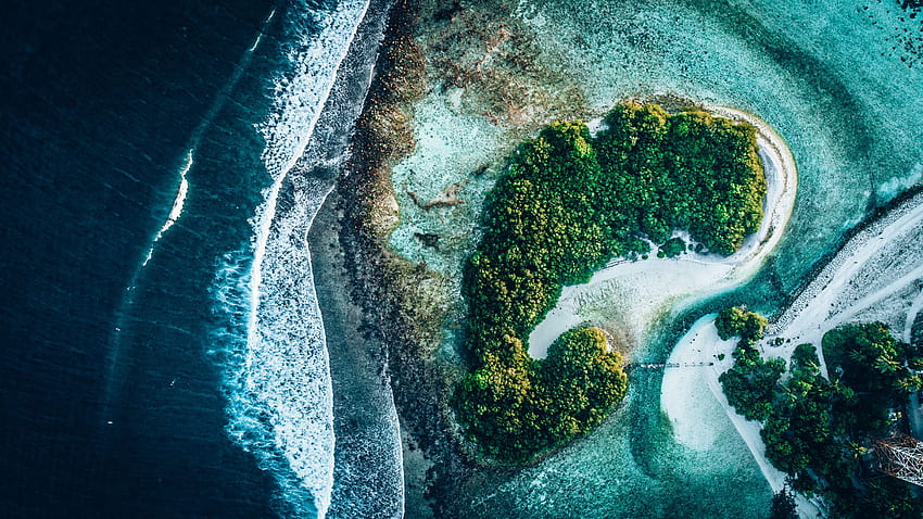 ธรรมชาติ น้ำ ต้นไม้ ดูจากด้านบน มหาสมุทร เกาะ วอลล์เปเปอร์ HD