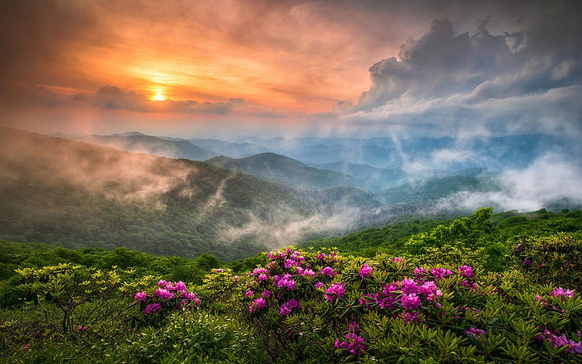 Северна Каролина Blue Ridge Parkway Пролет Апалачи планини, мъгла, цветове, Северна Каролина, цветове, небе, цветя, САЩ HD тапет