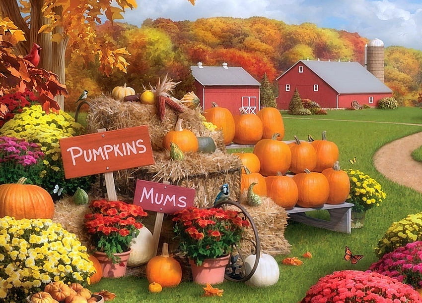 Pumpkins Tag : Old Pumpkin Farm Dominic Davison House Car, Fall Pumpkin ...