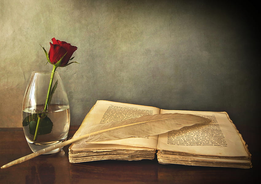Old, Feather, , , Rose Flower, Rose, Table, Vase, Book, Pen HD wallpaper