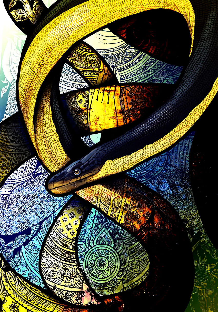 Art, Patterns, Snake, Sinuous, Winding HD phone wallpaper
