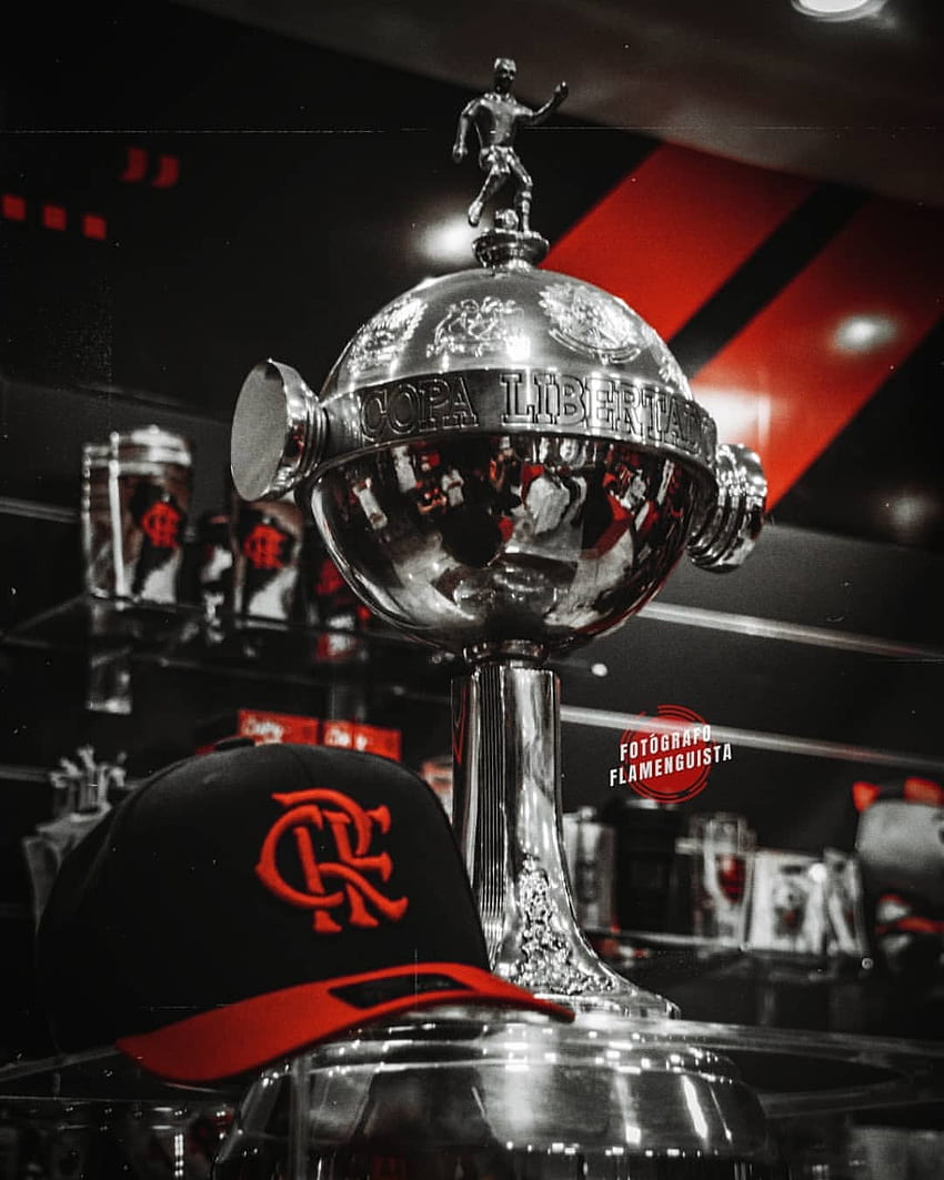 Flamengo, lampada frontale Sfondo del telefono HD