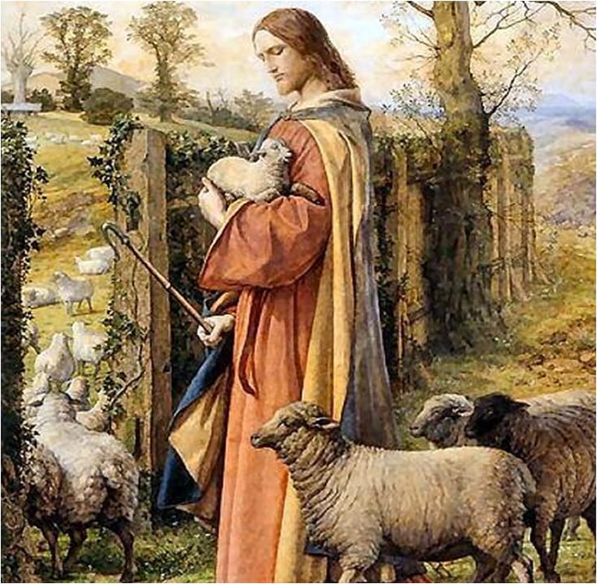 Добрият пастир, бог, овца, Исус, Христос, пастир, религия, християнство HD тапет