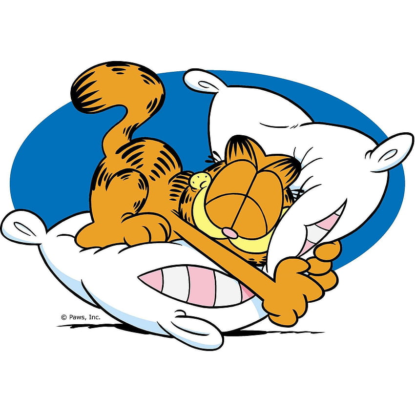 Garfield, Sleep Cartoon HD phone wallpaper