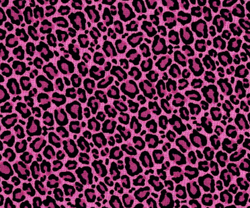 Pink animal print HD wallpapers