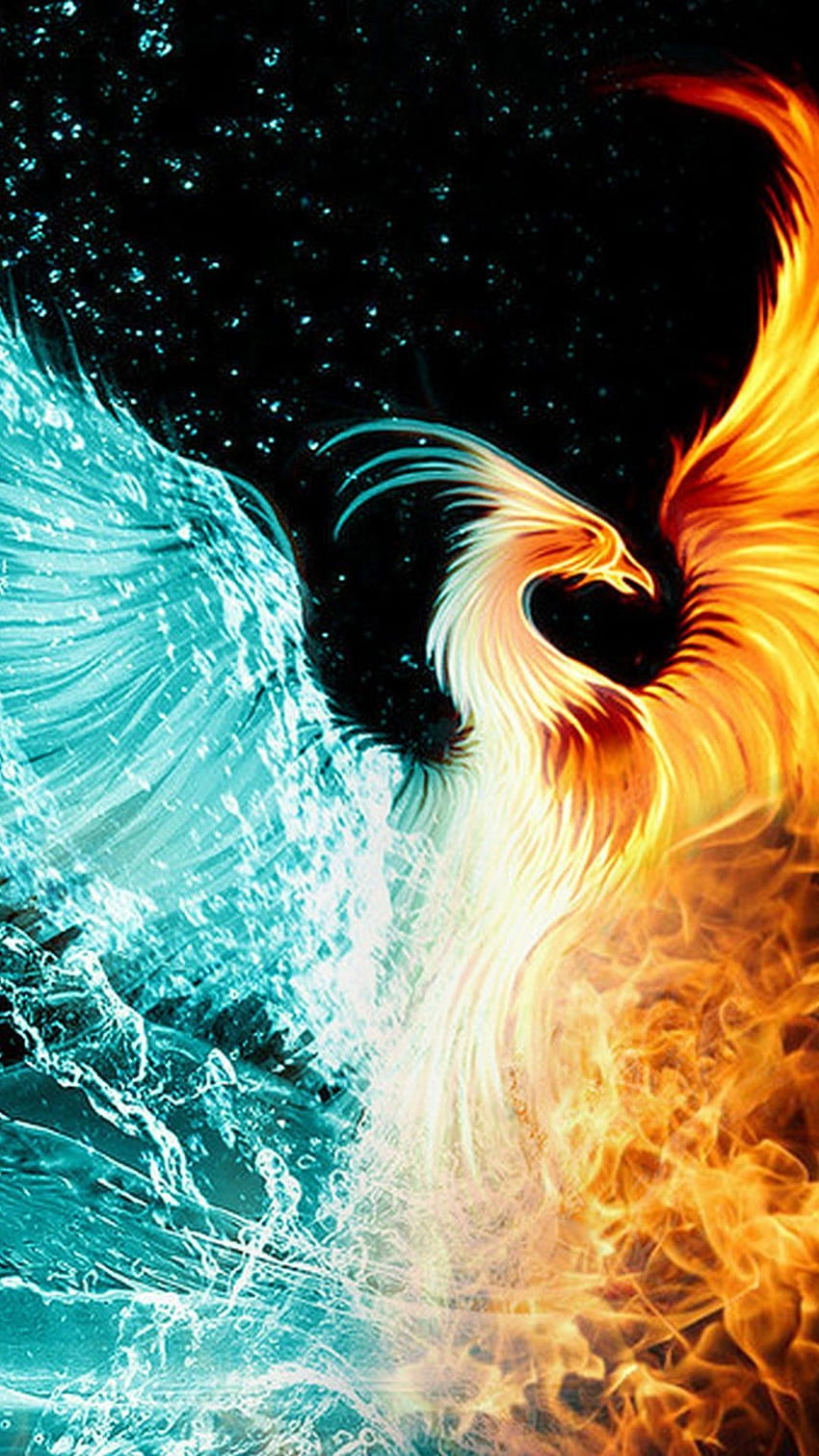 Black Phoenix phoenix bird iphone HD phone wallpaper  Pxfuel