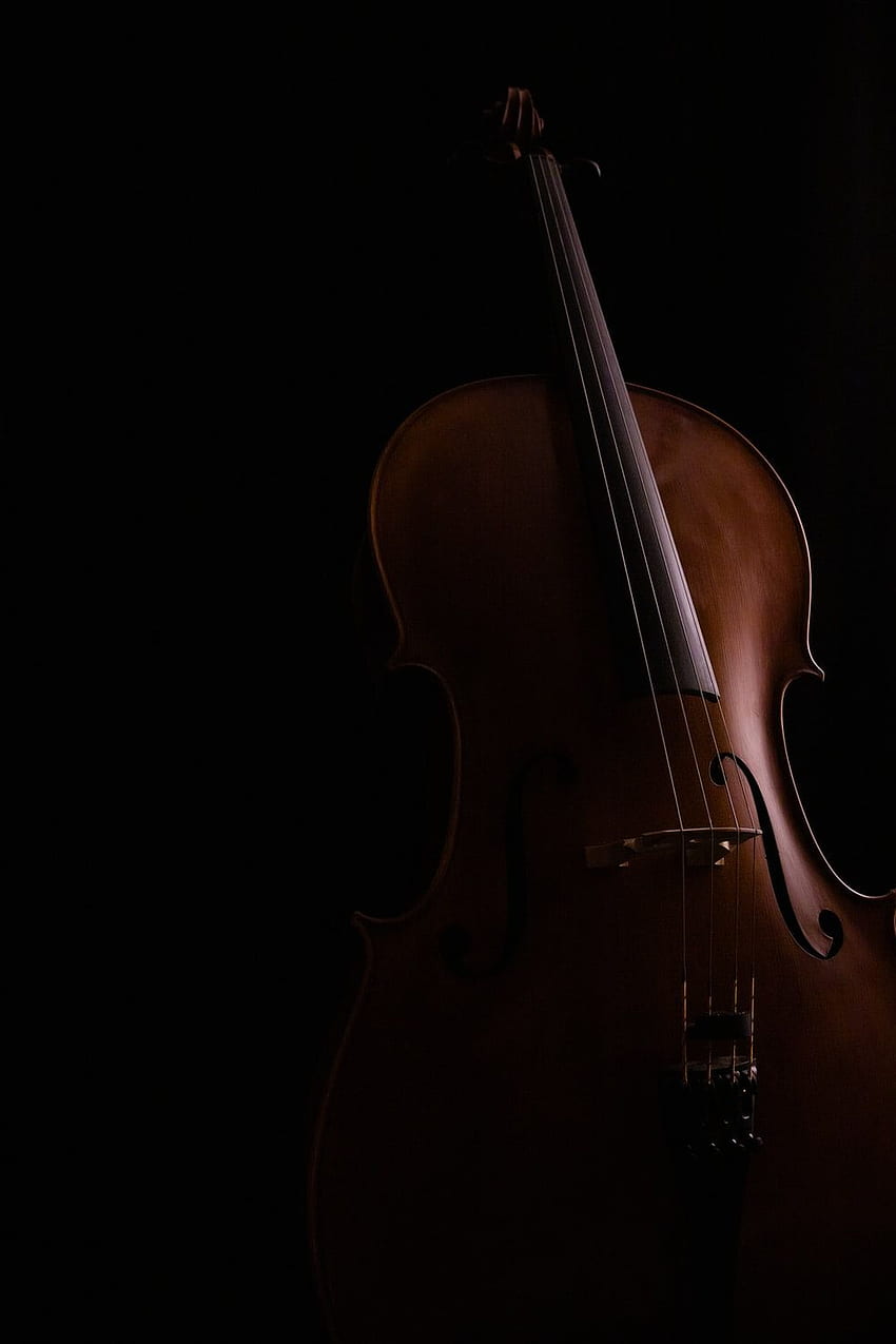 Geige, Geige HD-Handy-Hintergrundbild