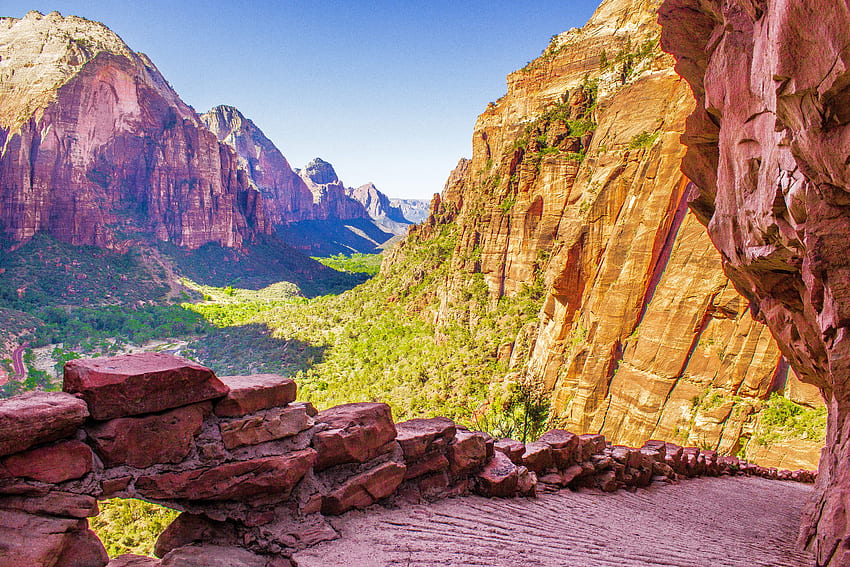 Nature, Usa, Zion National Park, National Park Of The City, State Of Utah, Utah, United States HD wallpaper