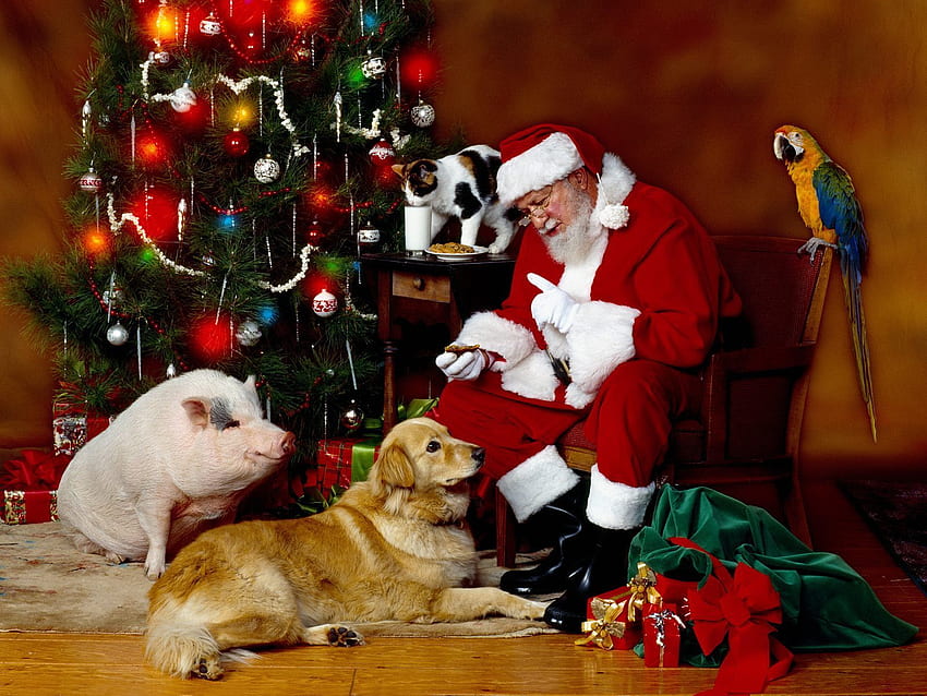 Hayvanlar, İnsanlar, Tatiller, Yeni Yıl, Noel Baba, Noel, Xmas HD duvar kağıdı