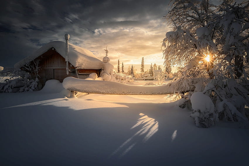 Winter Morning Sunray, 겨울, Sunray, 눈, 아침 HD 월페이퍼