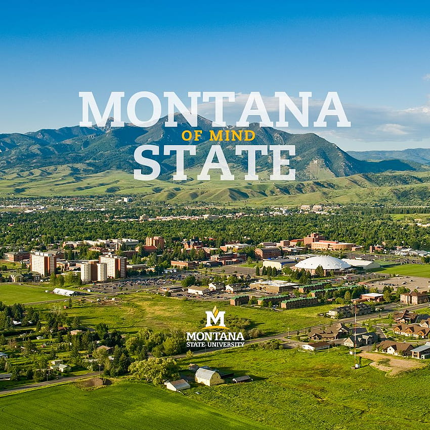 Mobile and Tablet - Marketing. Montana State University HD phone wallpaper