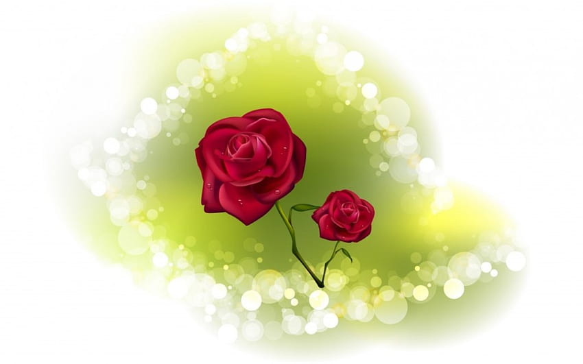 Две рози, цветя, рози HD тапет