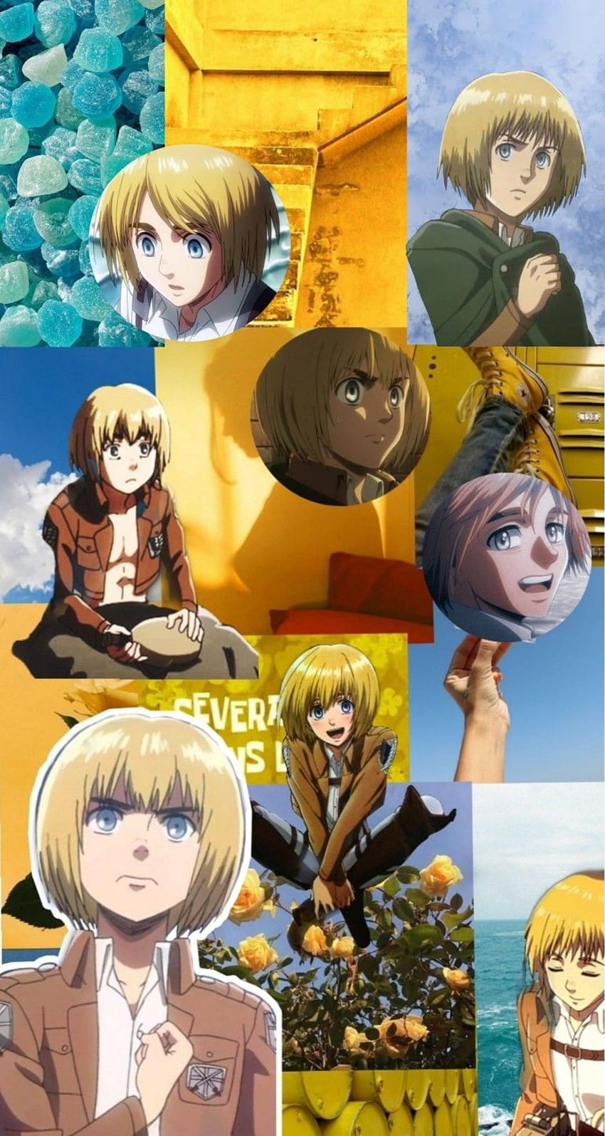 Armin Arlert . Animation character drawings, Attack on titan anime, Anime background, Cute Armin Arlert HD phone wallpaper