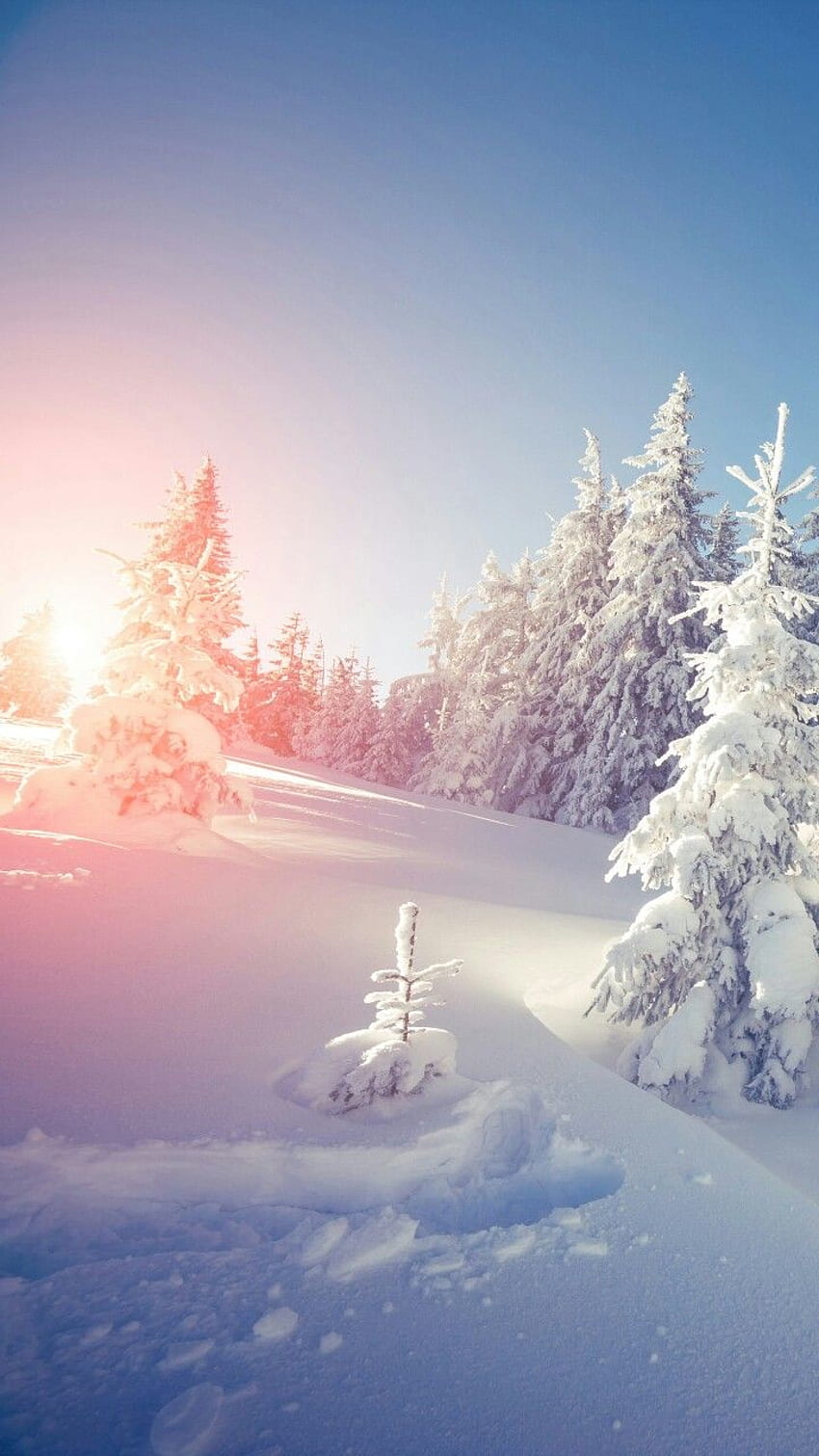 Natsu Dragneel บน Lugares para perderse ภูมิทัศน์ฤดูหนาว, ธรรมชาติที่สวยงาม, วันกราฟโลก, สวรรค์แห่งหิมะ วอลล์เปเปอร์โทรศัพท์ HD