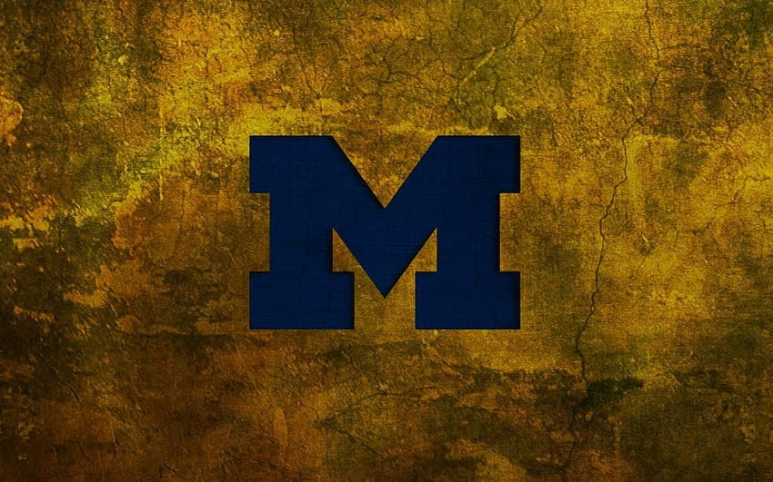 Michigan wolverines football, University of Michigan HD wallpaper