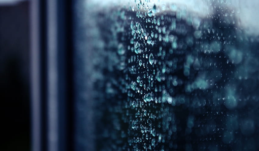 Rain, Drops, Macro, Surface, Shadow HD wallpaper