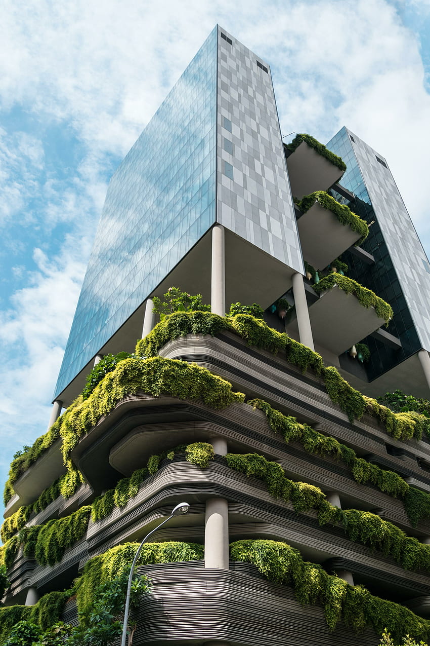 현대적이고 친환경적인 건축, 식물이 있는 건물 HD 전화 배경 화면