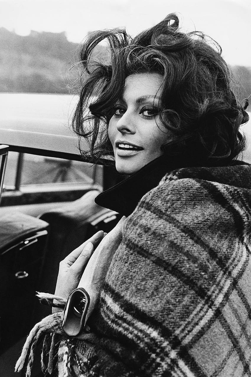 de Sophia Loren - Sophia Loren En fondo de pantalla del teléfono