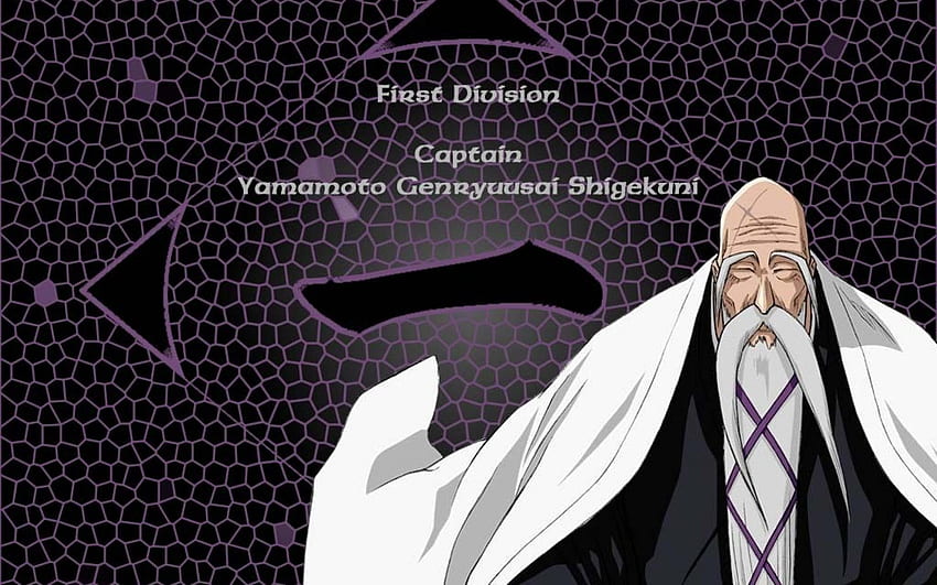 Bleach brody starzy ludzie yamamoto genryusai shigekuni symbole, Bleach Captains Tapeta HD