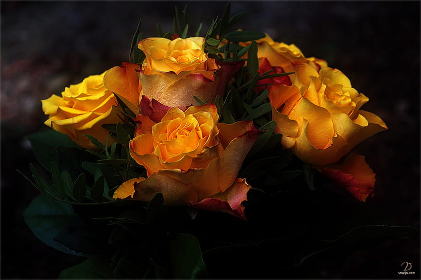 Рози за Kent One, арт , букет, рози, красиви, оранжеви HD тапет