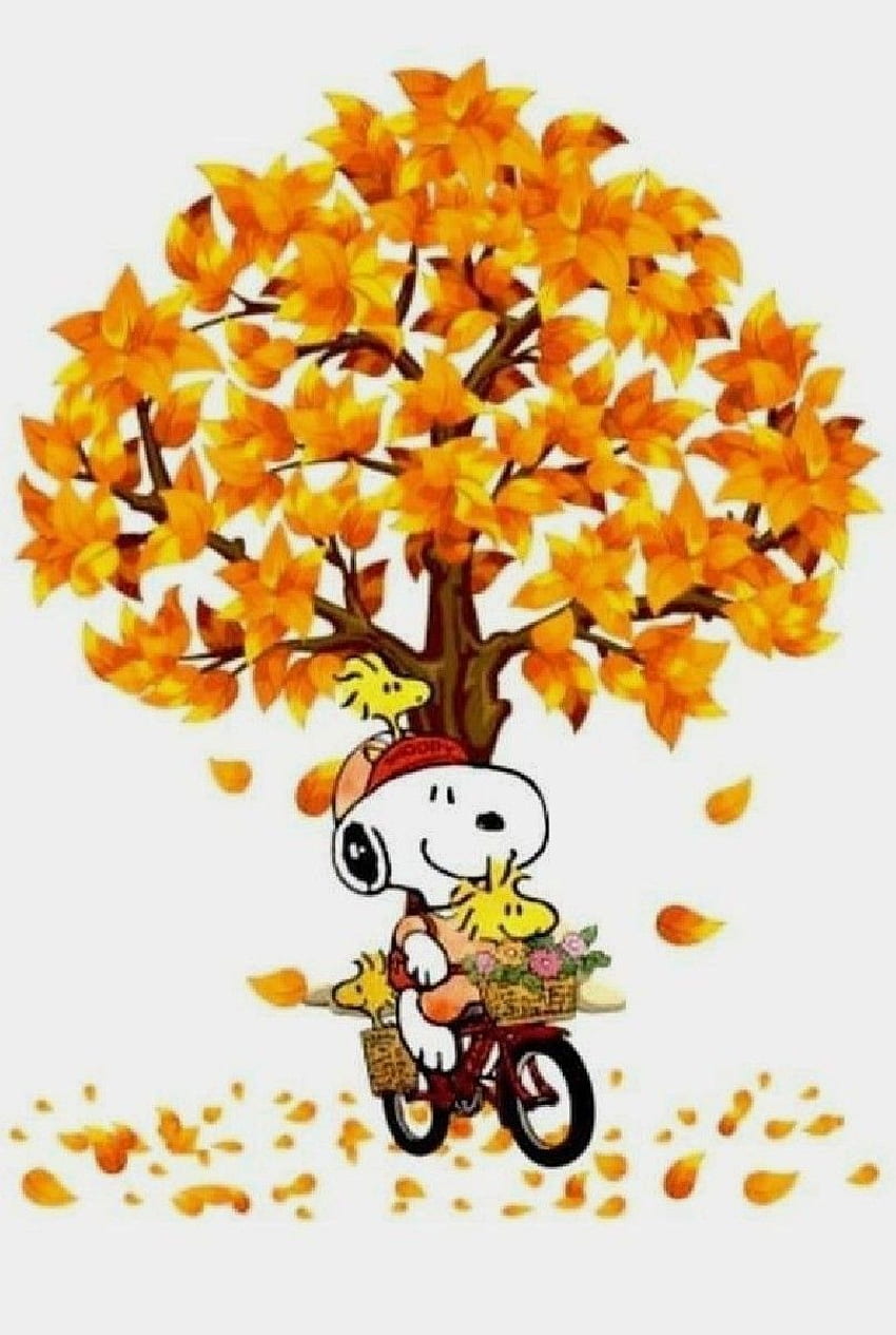 Charlie Brown Fall Wallpapers  Top Free Charlie Brown Fall Backgrounds   WallpaperAccess