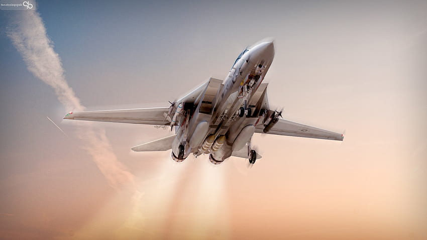 f14, Aircraft, Airplane, F 14 Tomcat, Military HD wallpaper