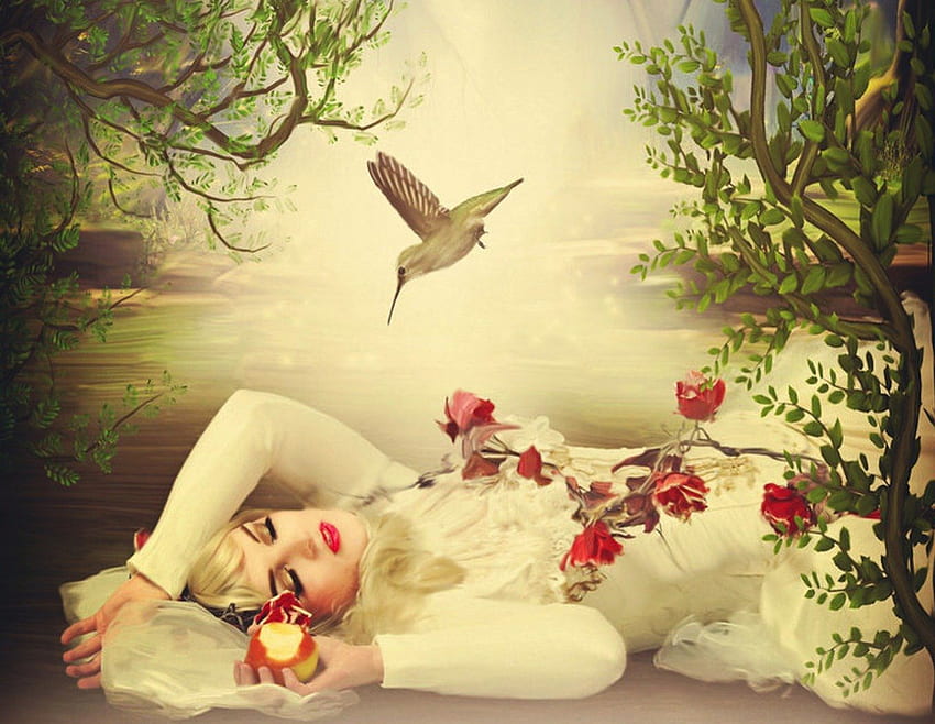 Fairy Tale, humming, bird, snow white HD wallpaper