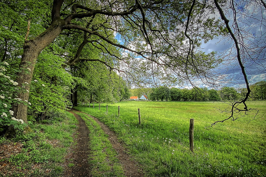 Landstraße, Feld, Zaun, Bäume, Natur, Straße, Land HD-Hintergrundbild