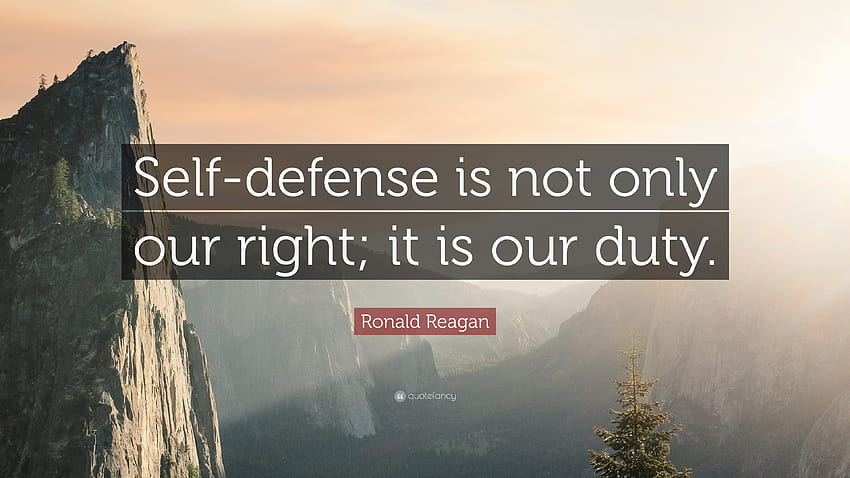 25++ Powerful Self Defence Quotes HD wallpaper