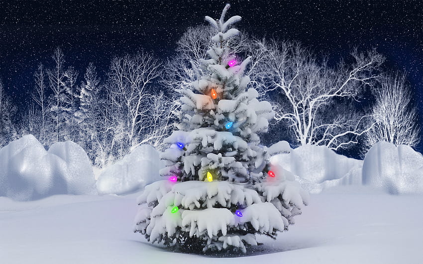 วันหยุด ปีใหม่ หิมะ ต้นสน คริสต์มาส คริสต์มาส วอลล์เปเปอร์ HD