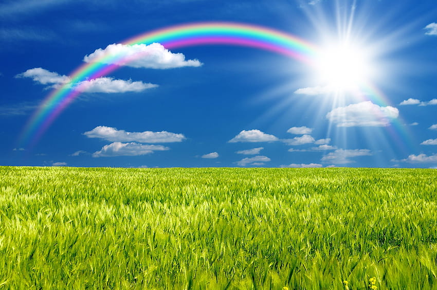 Rainbow Sunshine เธอคือแสงตะวันของฉัน วอลล์เปเปอร์ HD