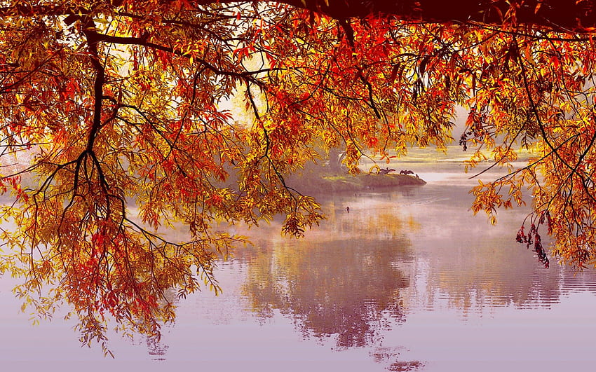 가을 호수, 나뭇가지, 호수, 물, 자연, 가을 HD 월페이퍼