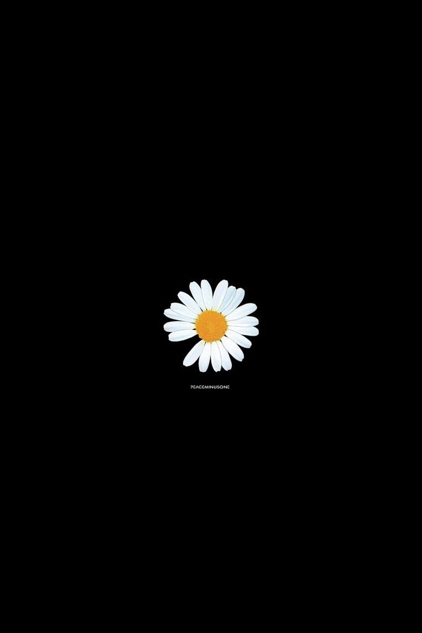 peaceminusone . Bunga daisy, Gambar mawar, Lukisan kaca, Black Daisy Flower HD phone wallpaper