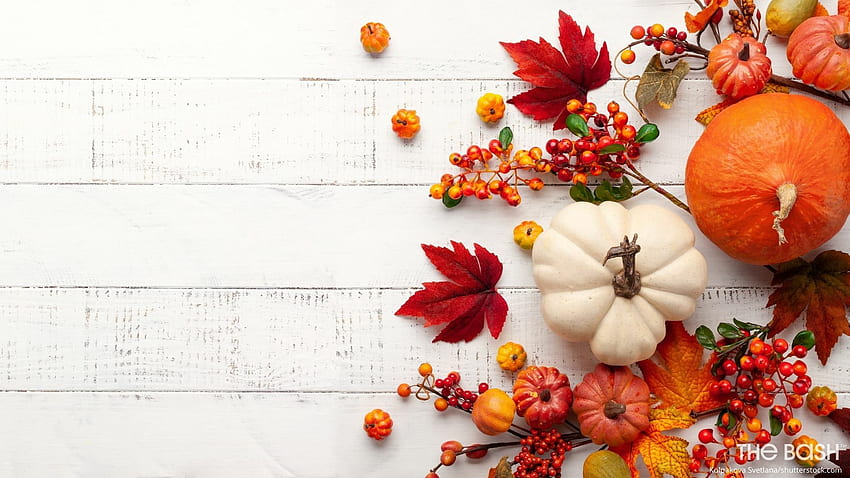 Herbstlicher Zoom-Hintergrund für Thanksgiving, Thanksgiving Abstract HD-Hintergrundbild