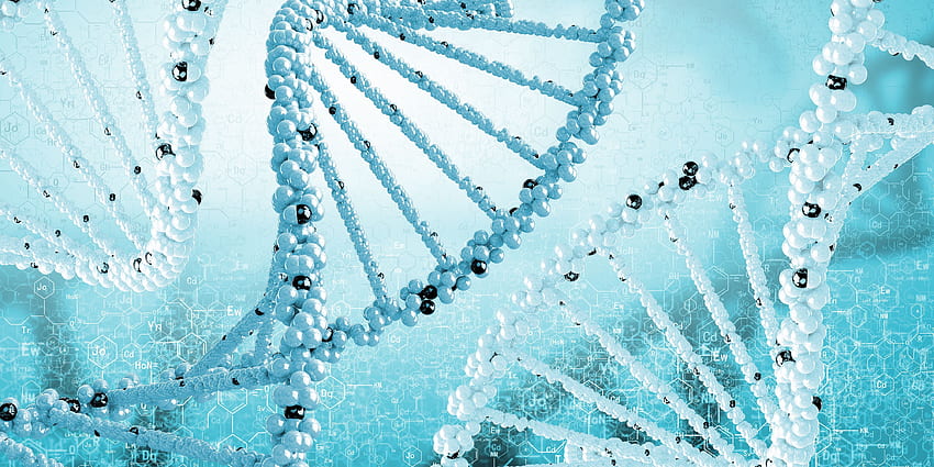 DNA Background, Double Helix HD wallpaper