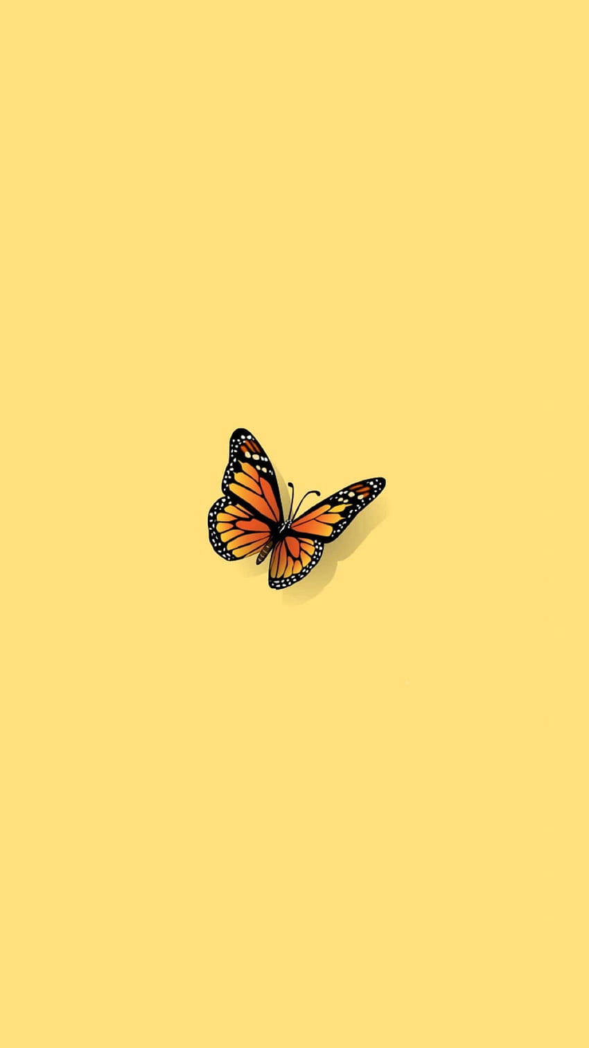 Download Yellow Butterfly On A Yellow Background Wallpaper  Wallpaperscom