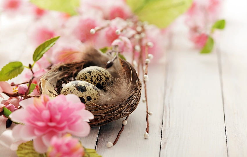 bunga, cabang, liburan, telur, musim semi, Paskah, soket, berbunga, burung puyuh untuk , bagian праздники Wallpaper HD
