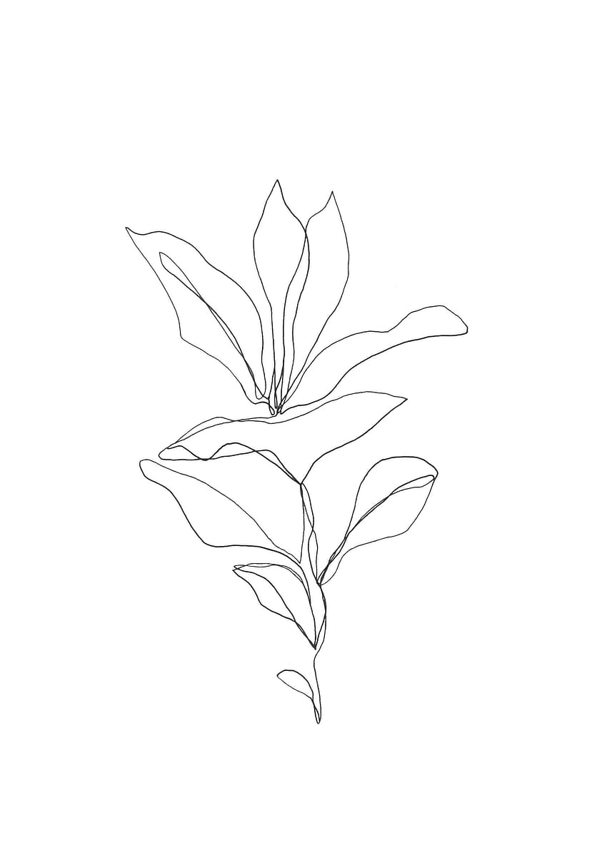 Einzeilige Pflanzenzeichnung - Blumenzeichnungen, Pflanzenzeichnung, Baumstrichzeichnung, minimalistische Pflanzenzeichnung HD-Handy-Hintergrundbild